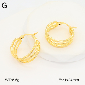 2E2005830vbnb-686  Stainless Steel Earrings