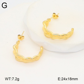 2E2005831bbov-686  Stainless Steel Earrings