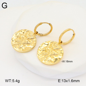 2E2005832vbnb-686  Stainless Steel Earrings