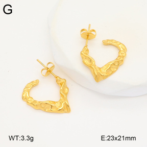 2E2005833vbmb-686  Stainless Steel Earrings