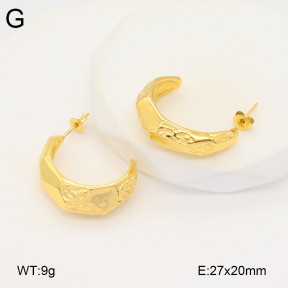 2E2005834bbov-686  Stainless Steel Earrings