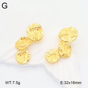 2E2005835bbov-686  Stainless Steel Earrings
