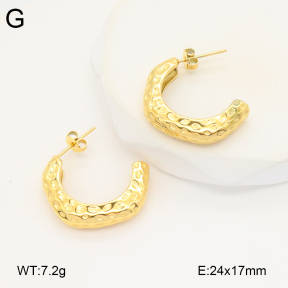 2E2005836bbov-686  Stainless Steel Earrings