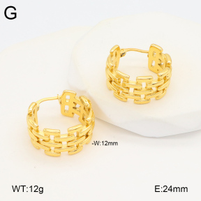 2E2005838vbnb-686  Stainless Steel Earrings
