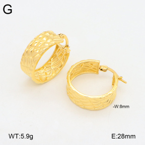 2E2005839vbnb-686  Stainless Steel Earrings