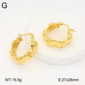 2E2005840bbov-686  Stainless Steel Earrings