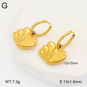 2E2005842vbmb-686  Stainless Steel Earrings