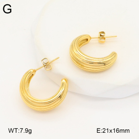 2E2005843vbnb-686  Stainless Steel Earrings