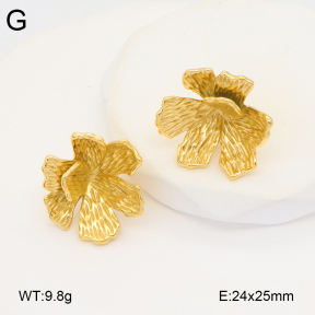 2E2005844bbov-686  Stainless Steel Earrings