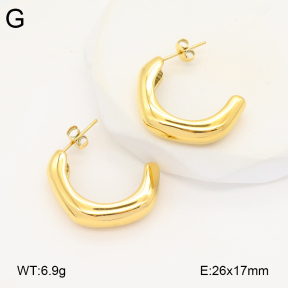2E2005845bbov-686  Stainless Steel Earrings
