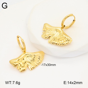 2E2005846vbnb-686  Stainless Steel Earrings