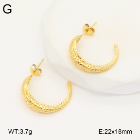 2E2005847vbmb-686  Stainless Steel Earrings