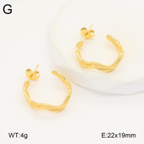 2E2005848vbmb-686  Stainless Steel Earrings