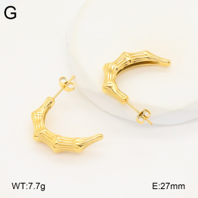 2E2005849bbov-686  Stainless Steel Earrings