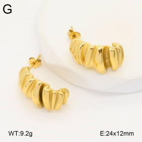2E2005850bbov-686  Stainless Steel Earrings
