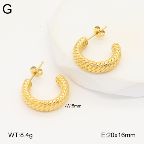 2E2005851bbov-686  Stainless Steel Earrings