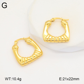 2E2005852bbov-686  Stainless Steel Earrings