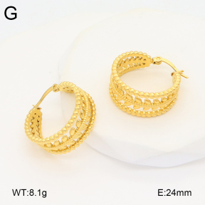2E2005853vbmb-686  Stainless Steel Earrings