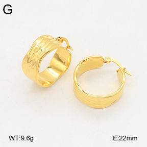 2E2005854vbnb-686  Stainless Steel Earrings