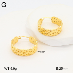 2E2005855vbmb-686  Stainless Steel Earrings