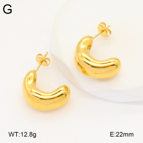 2E2005856bbov-686  Stainless Steel Earrings