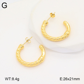 2E2005857bbov-686  Stainless Steel Earrings