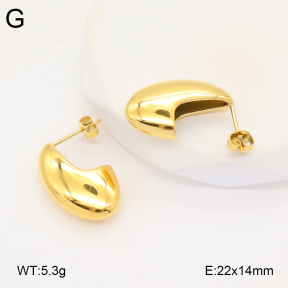 2E2005858vbnl-686  Stainless Steel Earrings