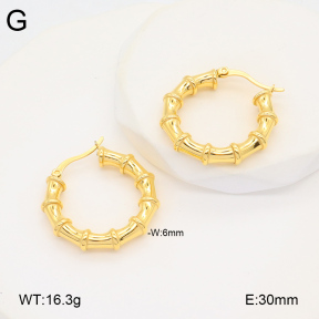 2E2005859bbov-686  Stainless Steel Earrings