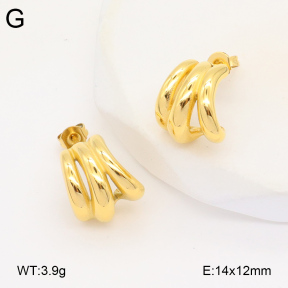 2E2005860bbov-686  Stainless Steel Earrings