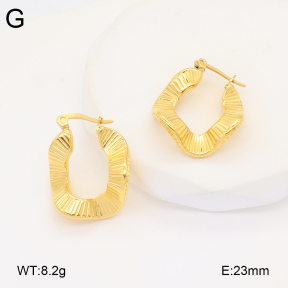 2E2005861bbov-686  Stainless Steel Earrings