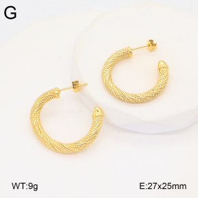 2E2005862bbov-686  Stainless Steel Earrings