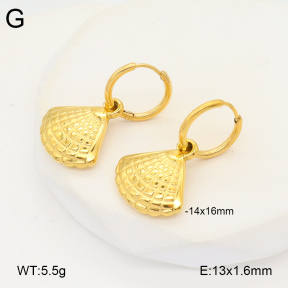 2E2005863vbnb-686  Stainless Steel Earrings