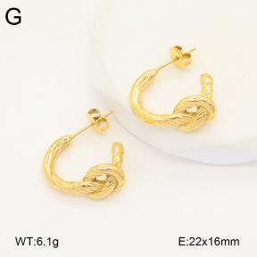 2E2005864bbov-686  Stainless Steel Earrings