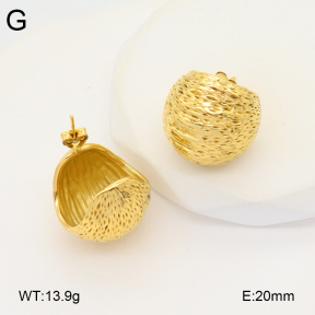 2E2005865bbov-686  Stainless Steel Earrings
