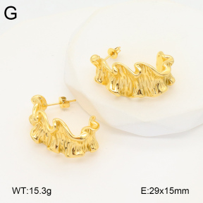 2E2005866vbpb-686  Stainless Steel Earrings