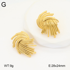 2E2005867vbpb-686  Stainless Steel Earrings
