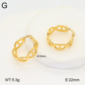 2E2005868vbnb-686  Stainless Steel Earrings