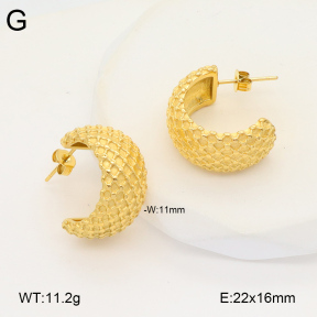 2E2005869bbov-686  Stainless Steel Earrings
