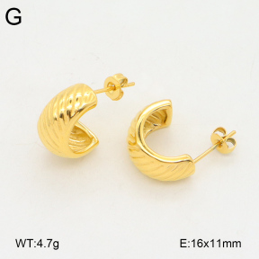 2E2005871vbnb-686  Stainless Steel Earrings
