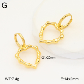2E2005872vbnb-686  Stainless Steel Earrings