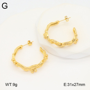 2E2005873bbov-686  Stainless Steel Earrings
