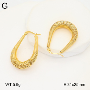 2E2005874bbov-686  Stainless Steel Earrings