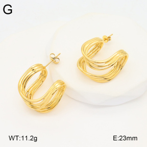 2E2005875bbov-686  Stainless Steel Earrings