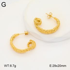 2E2005876bbov-686  Stainless Steel Earrings