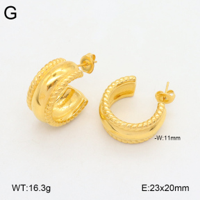 2E2005877bbov-686  Stainless Steel Earrings