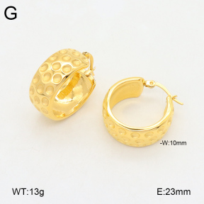 2E2005878bbov-686  Stainless Steel Earrings