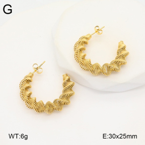 2E2005879bbov-686  Stainless Steel Earrings