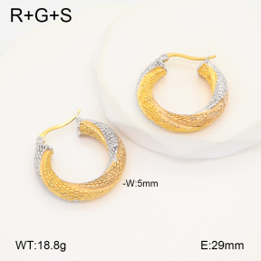 2E2005880vbpb-686  Stainless Steel Earrings