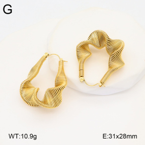 2E2005882vbnb-686  Stainless Steel Earrings