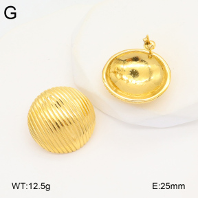 2E2005883bbov-686  Stainless Steel Earrings